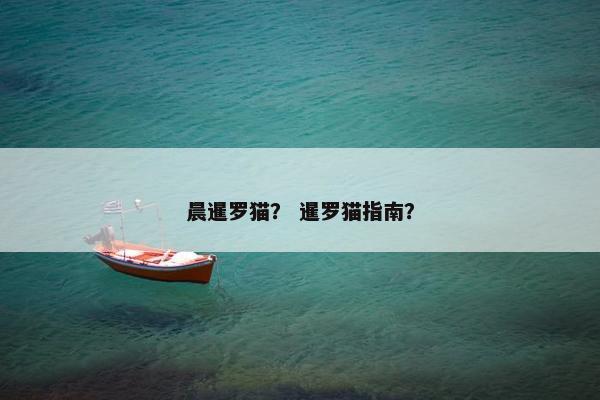晨暹罗猫？ 暹罗猫指南？