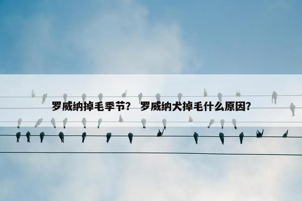 罗威纳掉毛季节？ 罗威纳犬掉毛什么原因？