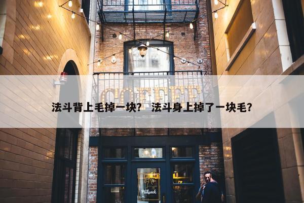 法斗背上毛掉一块？ 法斗身上掉了一块毛？