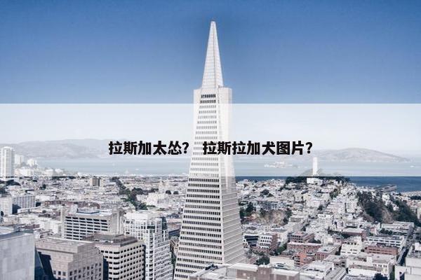 拉斯加太怂？ 拉斯拉加犬图片？