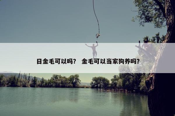 日金毛可以吗？ 金毛可以当家狗养吗？