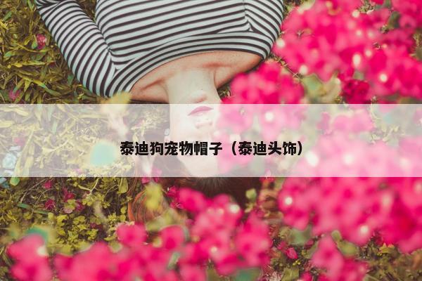 泰迪狗宠物帽子（泰迪头饰）