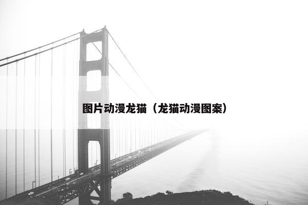 图片动漫龙猫（龙猫动漫图案）
