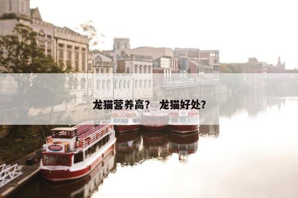 龙猫营养高？ 龙猫好处？