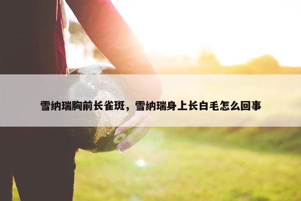 雪纳瑞胸前长雀斑，雪纳瑞身上长白毛怎么回事