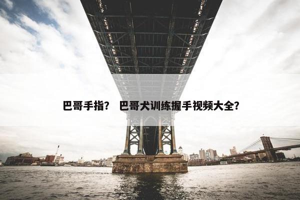 巴哥手指？ 巴哥犬训练握手视频大全？