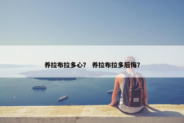 养拉布拉多心？ 养拉布拉多后悔？