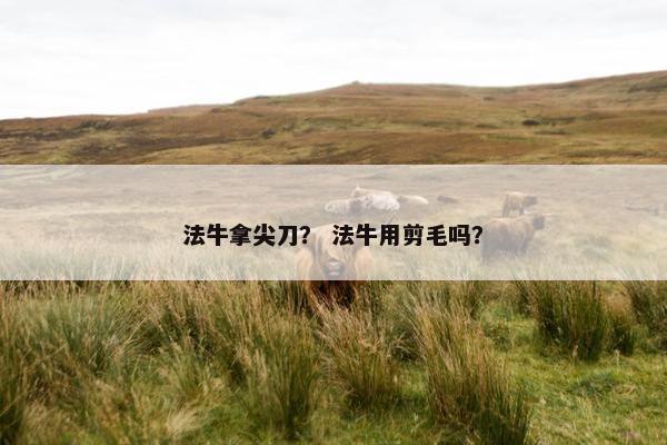 法牛拿尖刀？ 法牛用剪毛吗？