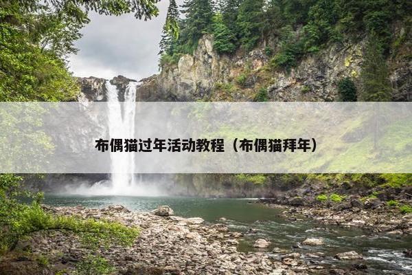 布偶猫过年活动教程（布偶猫拜年）