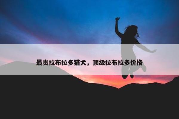 最贵拉布拉多猎犬，顶级拉布拉多价格