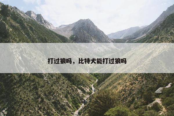 打过狼吗，比特犬能打过狼吗