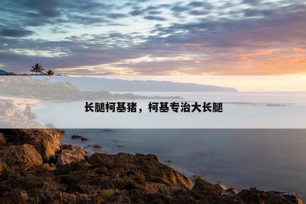 长腿柯基猪，柯基专治大长腿