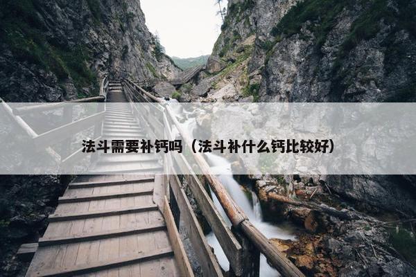 法斗需要补钙吗（法斗补什么钙比较好）