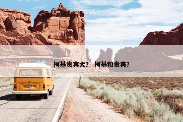 柯基贵宾犬？ 柯基和贵宾？