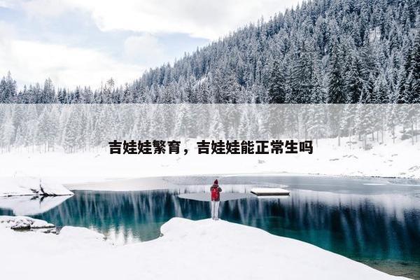 吉娃娃繁育，吉娃娃能正常生吗