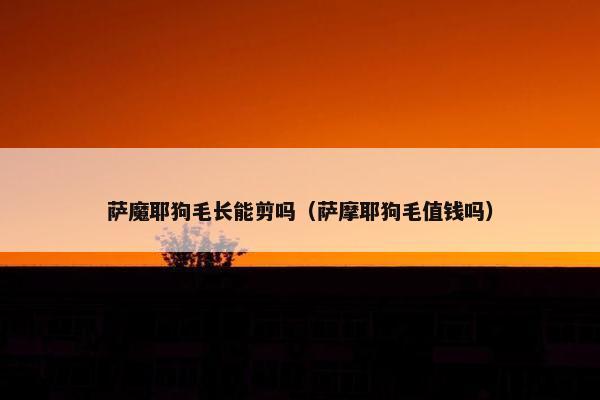 萨魔耶狗毛长能剪吗（萨摩耶狗毛值钱吗）
