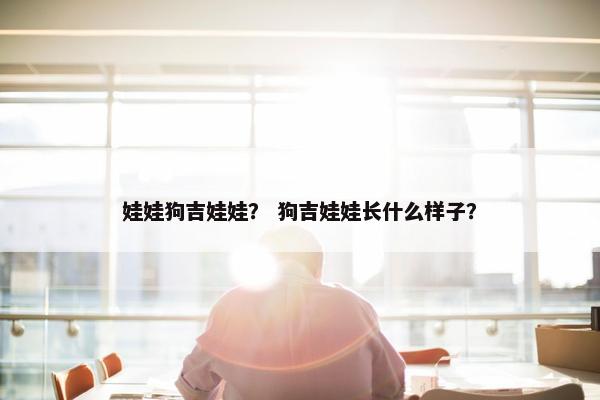 娃娃狗吉娃娃？ 狗吉娃娃长什么样子？