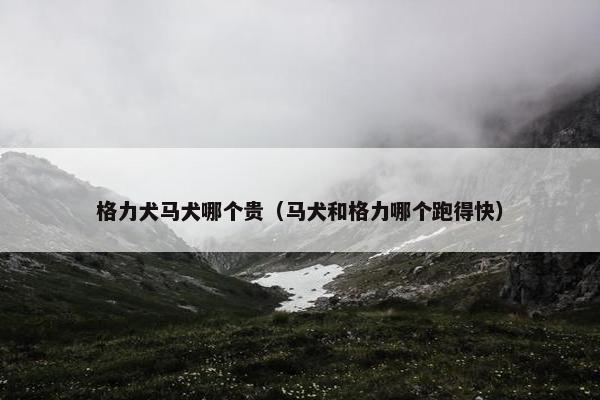 格力犬马犬哪个贵（马犬和格力哪个跑得快）