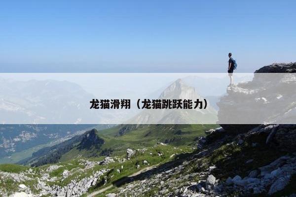 龙猫滑翔（龙猫跳跃能力）
