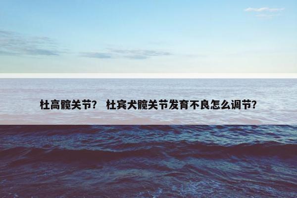 杜高髋关节？ 杜宾犬髋关节发育不良怎么调节？