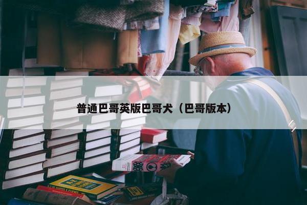 普通巴哥英版巴哥犬（巴哥版本）