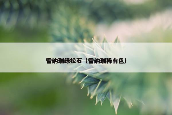 雪纳瑞绿松石（雪纳瑞稀有色）