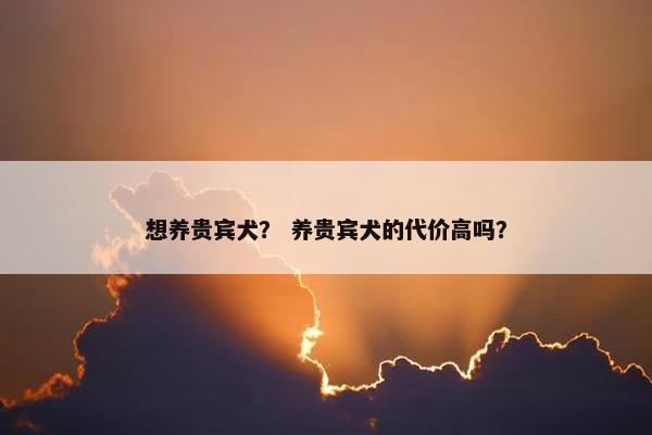 想养贵宾犬？ 养贵宾犬的代价高吗？