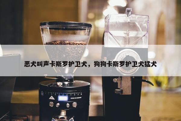 恶犬叫声卡斯罗护卫犬，狗狗卡斯罗护卫犬猛犬