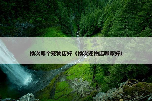 榆次哪个宠物店好（榆次宠物店哪家好）