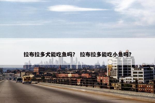 拉布拉多犬能吃鱼吗？ 拉布拉多能吃小鱼吗？