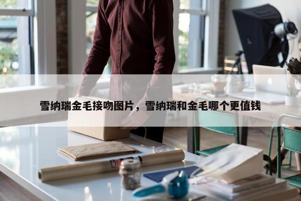 雪纳瑞金毛接吻图片，雪纳瑞和金毛哪个更值钱