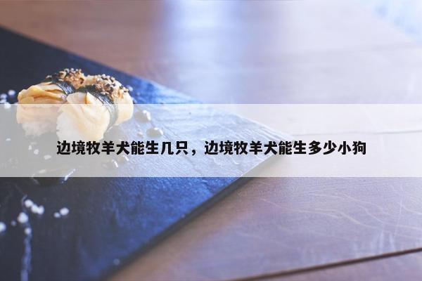 边境牧羊犬能生几只，边境牧羊犬能生多少小狗