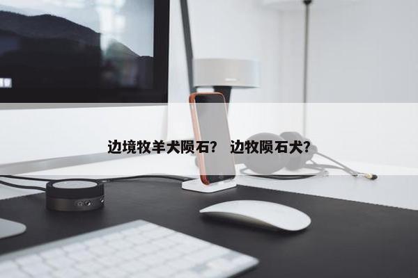 边境牧羊犬陨石？ 边牧陨石犬？