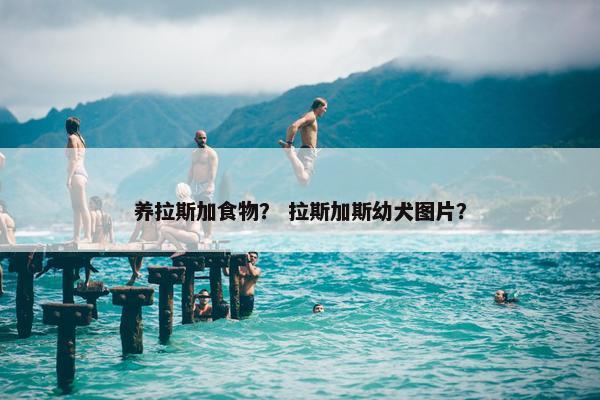 养拉斯加食物？ 拉斯加斯幼犬图片？