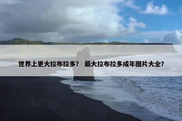 世界上更大拉布拉多？ 最大拉布拉多成年图片大全？