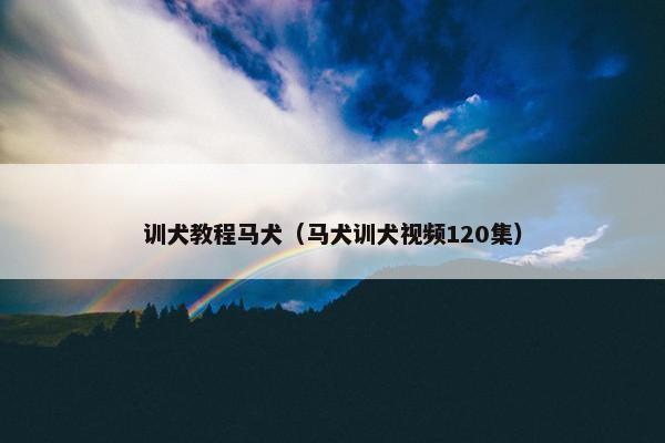 训犬教程马犬（马犬训犬视频120集）
