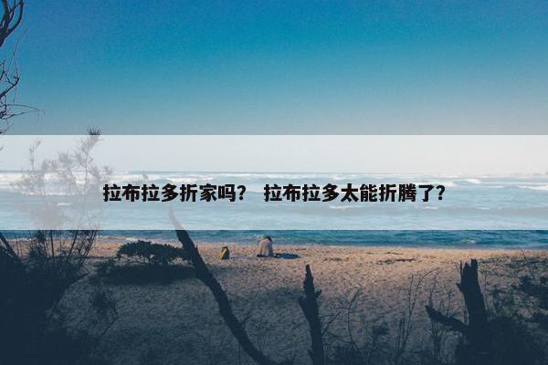 拉布拉多折家吗？ 拉布拉多太能折腾了？