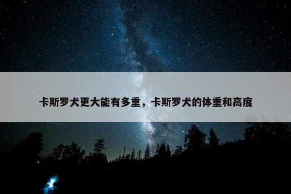 卡斯罗犬更大能有多重，卡斯罗犬的体重和高度