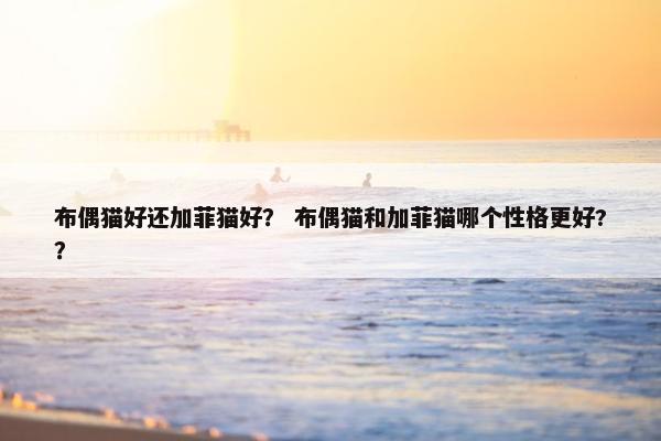 布偶猫好还加菲猫好？ 布偶猫和加菲猫哪个性格更好?？