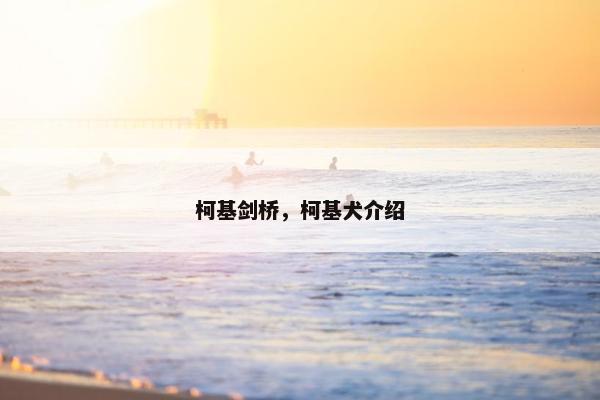 柯基剑桥，柯基犬介绍