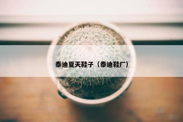 泰迪夏天鞋子（泰迪鞋厂）