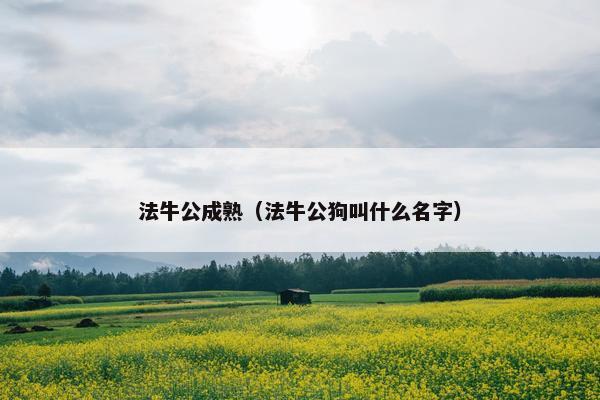 法牛公成熟（法牛公狗叫什么名字）