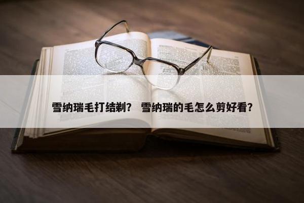 雪纳瑞毛打结剃？ 雪纳瑞的毛怎么剪好看？