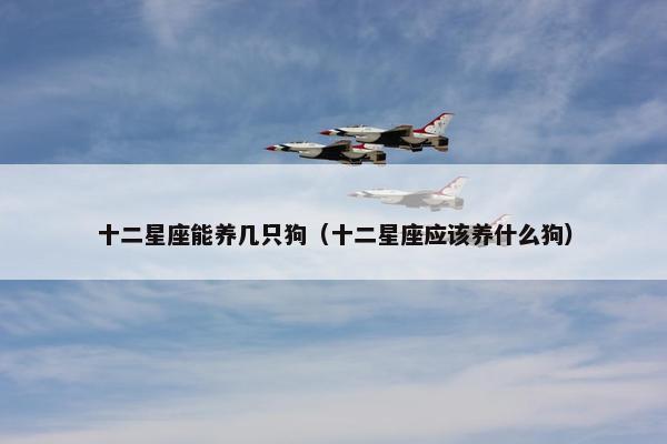 十二星座能养几只狗（十二星座应该养什么狗）