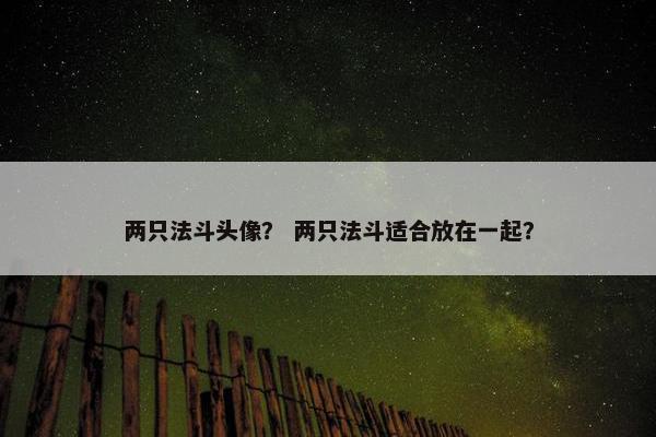 两只法斗头像？ 两只法斗适合放在一起？