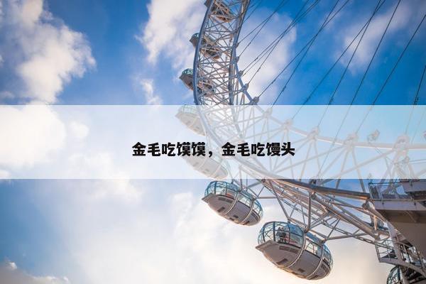 金毛吃馍馍，金毛吃馒头