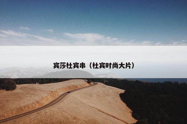 宾莎杜宾串（杜宾时尚大片）