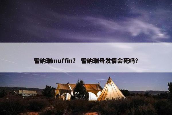 雪纳瑞muffin？ 雪纳瑞母发情会死吗？