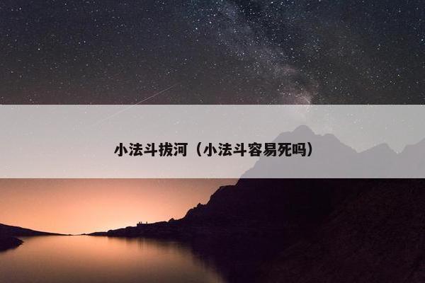 小法斗拔河（小法斗容易死吗）