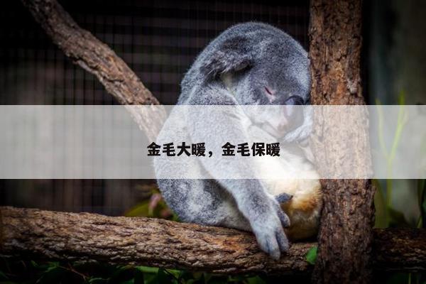 金毛大暖，金毛保暖